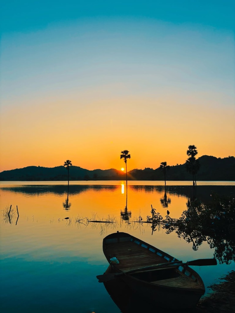 Visual Gallery: The Surreal Floating Forests of Rajpipla